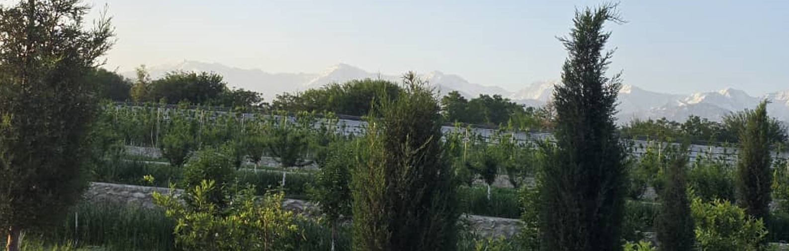 Slider Image